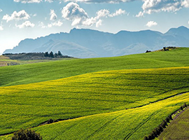 land for sale south africa